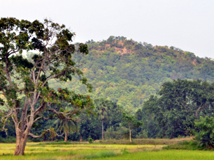 Gurrasini Hill